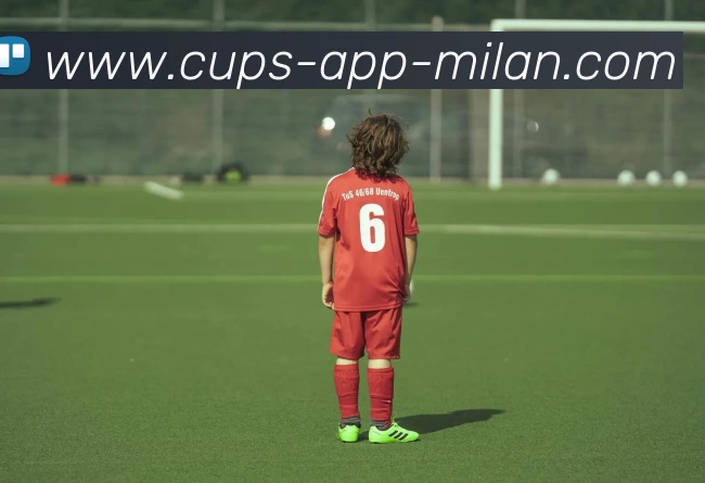 米兰体育官网平台生态图